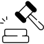 Courts and Tribunal Representation